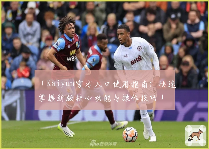 「Kaiyun官方入口使用指南：快速掌握新版核心功能与操作技巧」