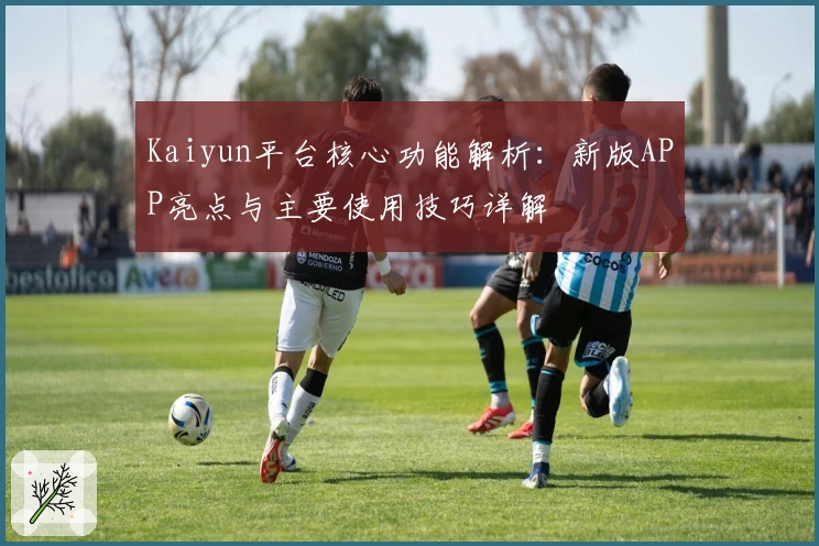 Kaiyun平台核心功能解析：新版APP亮点与主要使用技巧详解